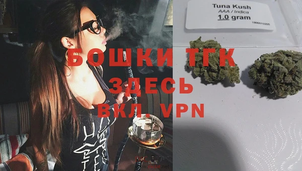 ECSTASY Козловка