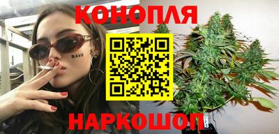 крисы Беслан