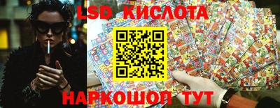 крисы Беслан