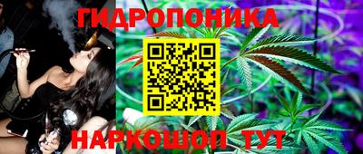 гидропоника Бийск