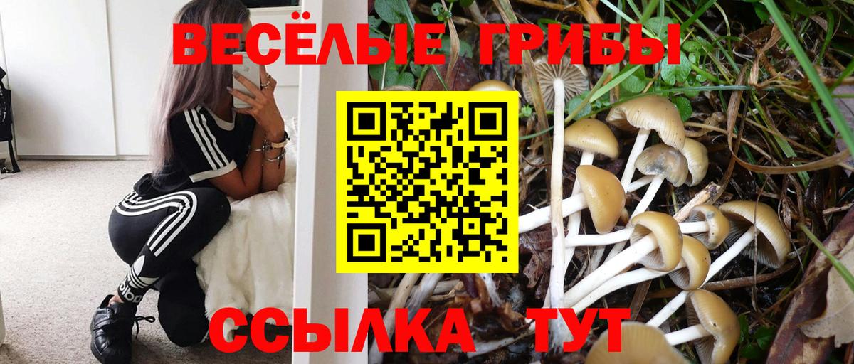 Псилоцибиновые грибы ЛСД Дзержинск