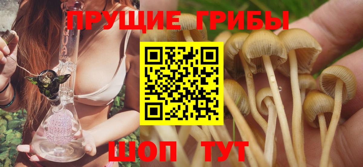 купить наркотик  Дзержинск  Псилоцибиновые грибы ЛСД 